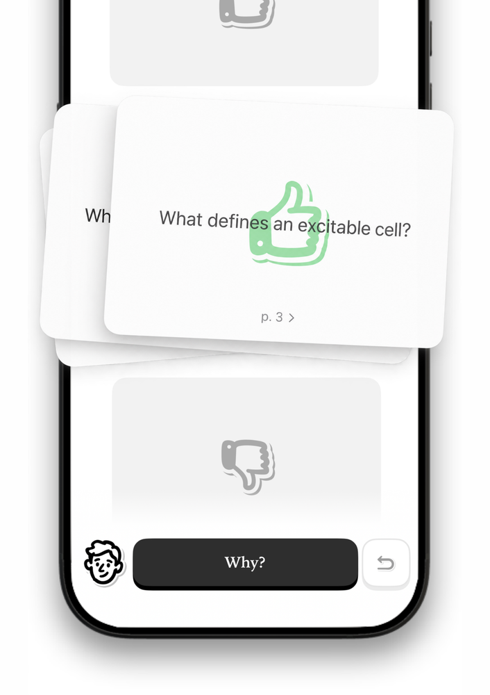A Peter flashcard being swiped right to mark it known